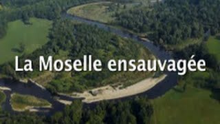 La Moselle ensauvagée [upl. by Xilef]