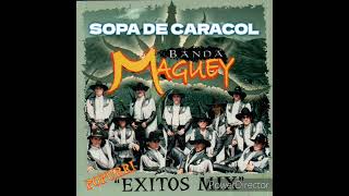 SOPA DE CARACOL BANDA MAGUEY [upl. by Handy870]