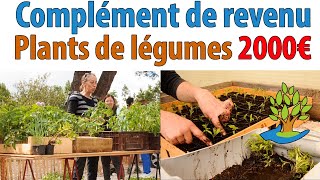 Complément de revenu  gagnez jusquà 2000€ avec la vente de plants de légumes [upl. by Cavil779]