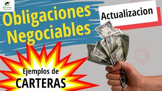 💥OBLIGACIONES NEGOCIABLES💥Actualizacion Armado de carteras de diferentes montos y riesgos ✅ [upl. by Sosthenna]