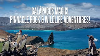 Travel to Bartolomé Island Galápagos – Your Travel to Guide [upl. by Ymorej]