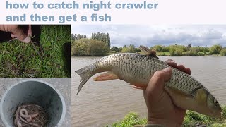 Catch Nightcrawler at Day or Night and get a Fish [upl. by Surat]