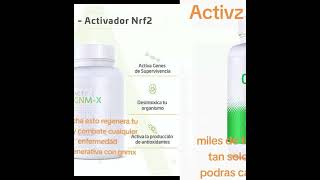 ACTIVADOR NRF2 [upl. by Ardnohsed]