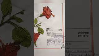 हर्बेरियम फाइल कैसे बनाए how to make herbarium file Herbarium sheet flower herbarium short shorts [upl. by Nyrol]