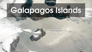 Galapagos Islands Evolutions Living Laboratory [upl. by Pacifa586]