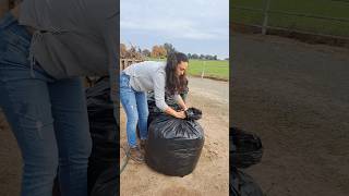 De Hojas a Abono Orgánico compost jardineria short plantas viralvideo plants jardin [upl. by Nivag]