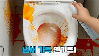 풍성한 거품을 뿌리기만 하면 화장실 찌든 때와 악취를 한 번에 싹 청소9단 강력한 화장실클리너 [upl. by Rocco486]