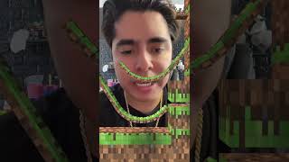 ¿PUEDES SUPERAR EL RETO MINECRAFT MÁS LOCO minecraft shorts short tiktok filtro [upl. by Aoket]