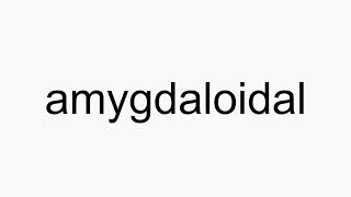 How to pronounce amygdaloidal [upl. by La]