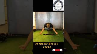 Rhomboid muscle rehab physiotherapist9536 viralvideo rhomboids [upl. by Alyk]