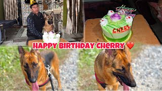 Cherry ka Birthday Celebration 🎊vlog [upl. by Grosberg]