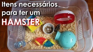 O que comprar antes de ter um hamster [upl. by Yelnek]