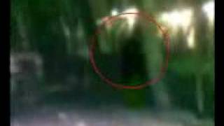 Miracle of Yogis  Flying Siddha at Thiruvannamalai wwwKeepTubecom3gp [upl. by Sirc113]