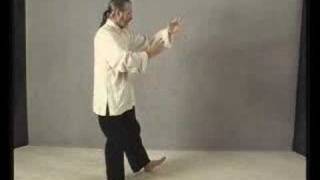 Part 14 Learn Tai Chi Free Yang Chengfu Long FOrm erle [upl. by Bibi]