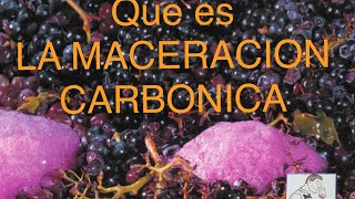 60 QUÉ ES LA MACERACIÓN CARBÓNICA [upl. by Eibot]