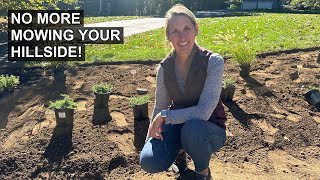 How to Landscape Your Hillside for Low Maintenance [upl. by Nisay756]