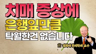 가족들을 못 알아보시나요 은행잎과 이 두가지를 매일 드셔보세요 [upl. by Lubba]