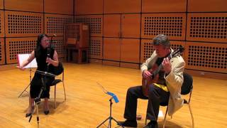 Erhu  Guitar  Improvisation  Ling Peng  Nick Fletcher [upl. by Vieva830]