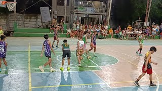 totolan vs river side dauis bohol basketball 🏀🏀🏀 [upl. by Strephonn556]