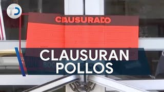 Clausuran negocio de pollos por roedores y carne en descomposición [upl. by Affer]