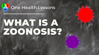 Watch Lesson What is a zoonosis [upl. by Sissel767]