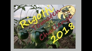 Selbstversorger Rigotti Tomaten Challenge 2018 [upl. by Becka]