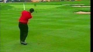 Tiger Woods Mix [upl. by Stephi650]