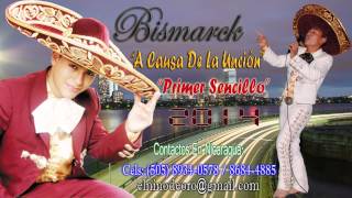 Bismarck El Niño de Oro  A Causa De La Unción Audio Oficial [upl. by Fries141]