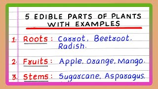 EDIBLE PARTS OF PLANTS  DIFFERENT EDIBLE PARTS OF PLANTS  WITH EXAMPLES [upl. by Armitage]