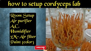 how to Setup Cordyceps militaris Lab [upl. by Mackay]