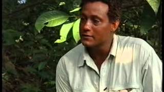 Expeditie robinson 2002 Aflevering 10 part 22 [upl. by Garzon164]