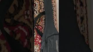 Steinberger gigbag for sale [upl. by Coltin619]