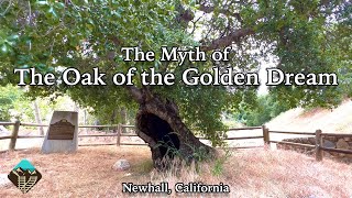 Where Gold Was First Found in California  The Oak of the Golden Dream [upl. by Azral]