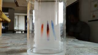 Chromatography Technique Timelapse [upl. by Adoree352]