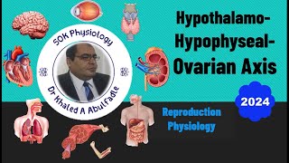 HypothalamoHypophysealOvarian Axis Physiology 102024 by Dr Khaled A Abulfadle [upl. by Traweek]