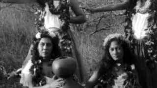 Hula Preserving Native Hawaiian Language and Culture [upl. by Kamin640]