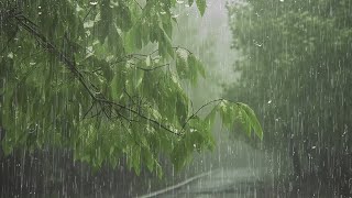 Pluie Relaxante pour Bien Dormir en 5 Minutes 🌧 Son de Pluie pour Dormir  Relax ASMR [upl. by Neural378]