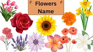 Learn Flowers Name Flowers Name KIDZELLOFUN [upl. by Eilzel]