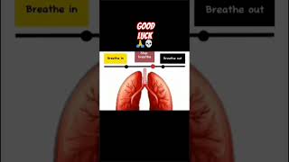 How strong are your lungs 💀lungs strong viral test drama [upl. by Christel]