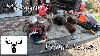 Michigan Duck Hunt with BONUS PHEASANT [upl. by Claudine]