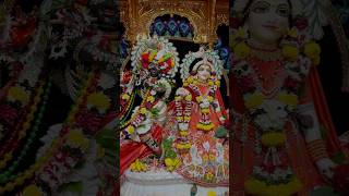 Ekadashi Special 🌹🪷🪷iskconpandharpur iskconbhuvaikuntha pandharpur [upl. by Kristopher]