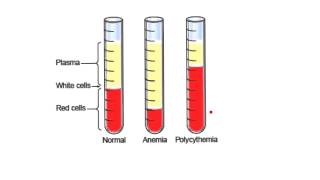 Blood3Hematocrit PCV [upl. by Gregor]