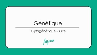 Tutorat génétique  Cytogénétique  suite [upl. by Suiravaj]