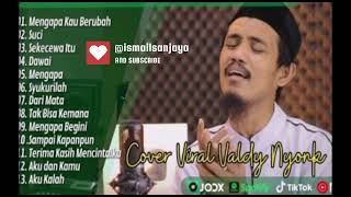 full album valdy nyonk valdynyonkofficial [upl. by Nevah623]