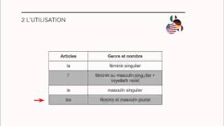 Français  Les articles contractés [upl. by Nodmac]