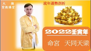 2022壬寅年 流年運勢剖析 流年命宮天同天梁 [upl. by Rooney]