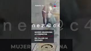 Mujer fue captada abandonando cachorros en las calles del Edoméx  Shorts  Imagen Noticias [upl. by Eadrahc]