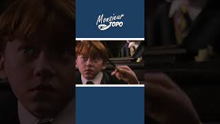 Harry Potter  Wingardium Leviosa parodie hp [upl. by Lindie]