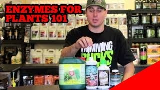 Enzymes For Plants 101  Which plant Enzyme is the Best  Enzymes For Hydroponics DWC NFT [upl. by Lenod]