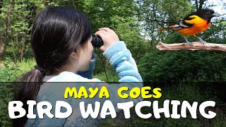 Mayas Guide for Bird Watching for Kids and Parents [upl. by Elocon418]